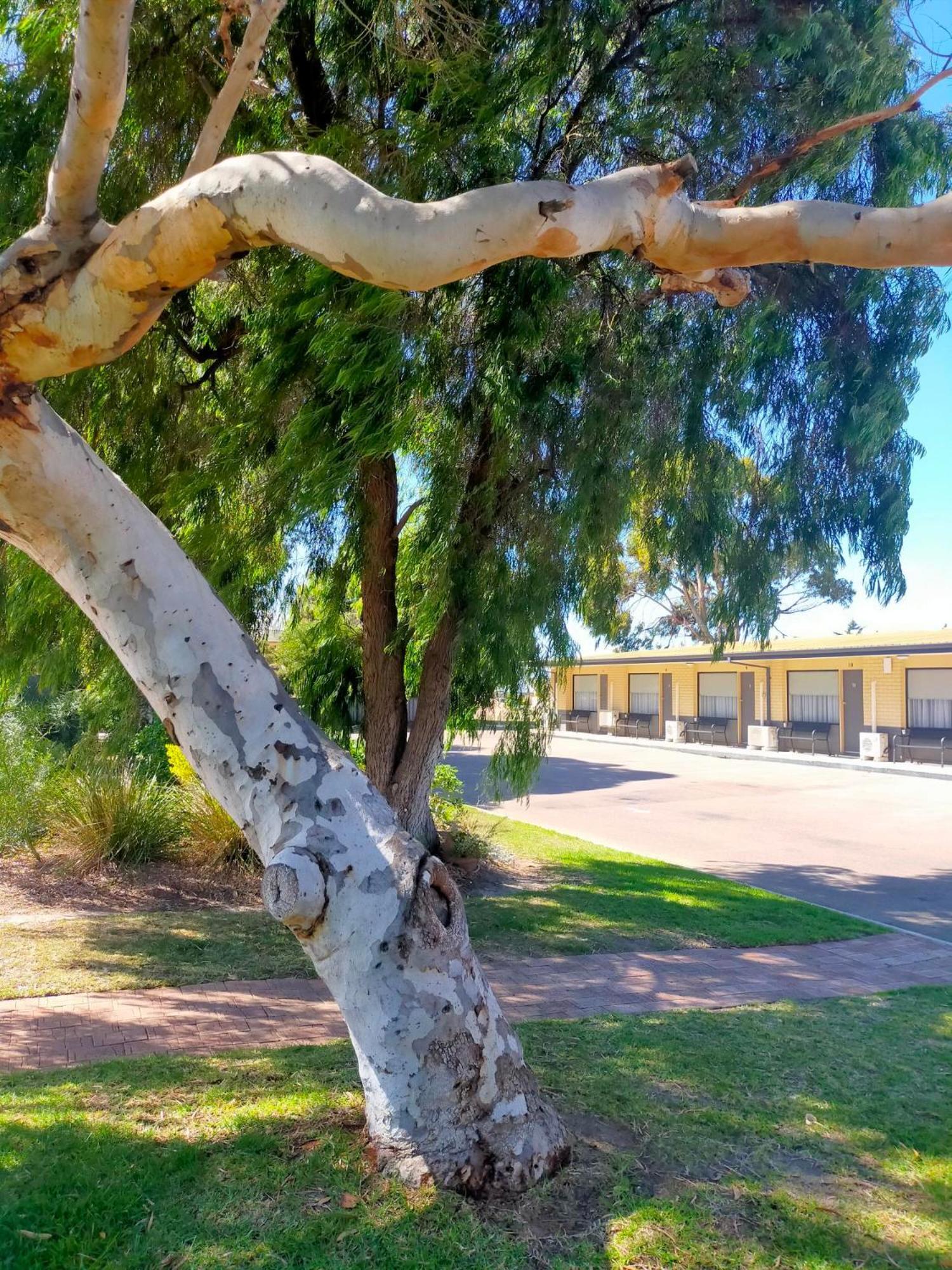 Motel Bayview